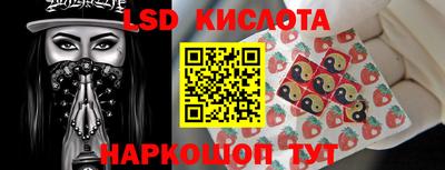 прущие грибы Кандалакша
