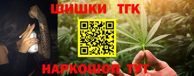 прущие грибы Кандалакша