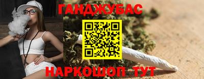 прущие грибы Кандалакша