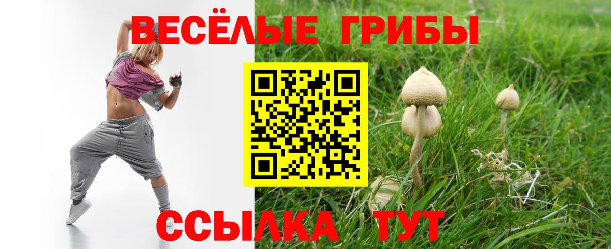 Галлюциногенные грибы Cubensis  Вход с VPN  Галлюциногенные грибы MAGIC MUSHROOMS  Мелеуз 
